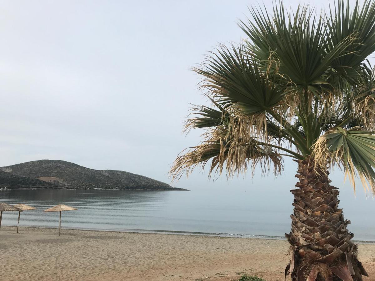 Cosy Studio 2 Minutes Walking From The Beach Anavyssos Exterior foto